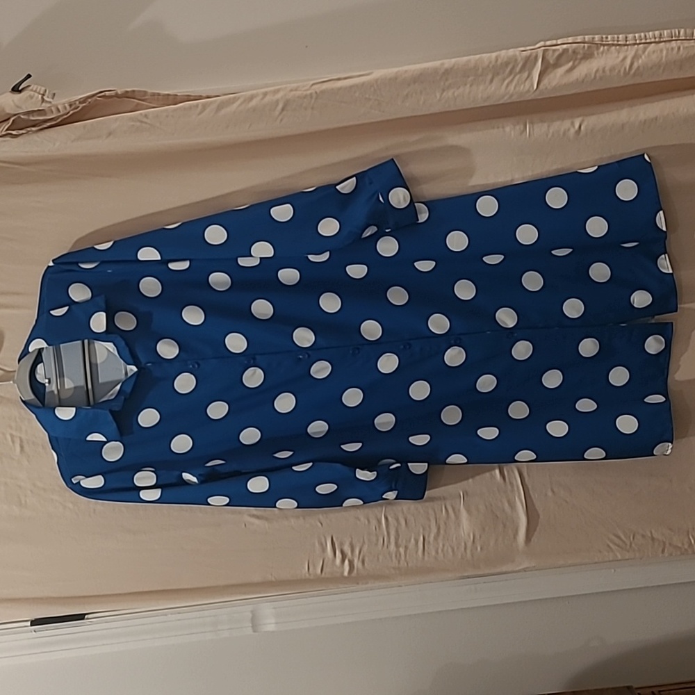 Blue Polka Dot Dress